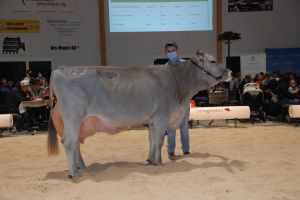 Champion Original Braunvieh Buchers Ludwig Geraldine